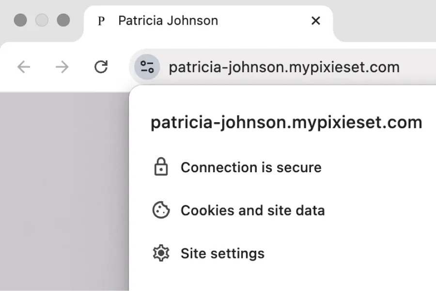 Close-up of a secure browser connection on a Pixieset subdomain, emphasizing website safety and custom domain branding for photographers.